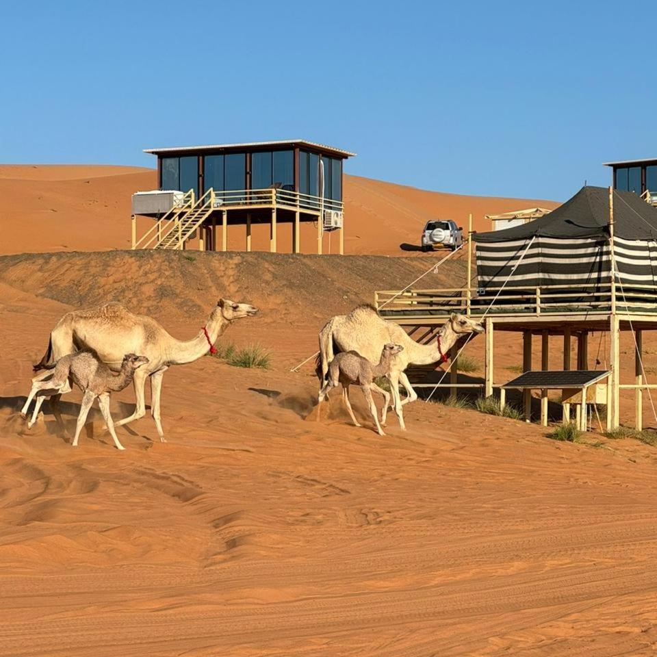 Oman Desert Private Camp Shahiq Экстерьер фото